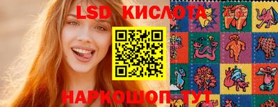 гидра Краснокаменск