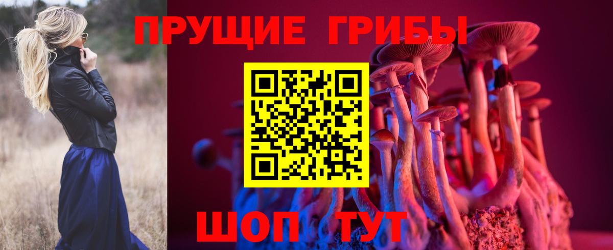 Псилоцибиновые грибы GOLDEN TEACHER  Вход с VPN  Качканар 